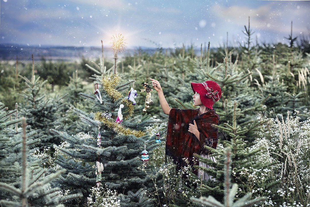 Karácsonyi szabadtéri fotózás Karácsonyfa farmon Pest megyében
